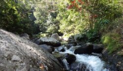 Taman Wisata Alam Semongkat