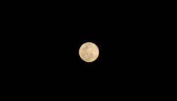 minimoon