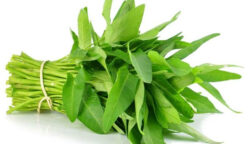 Sayur Kangkung