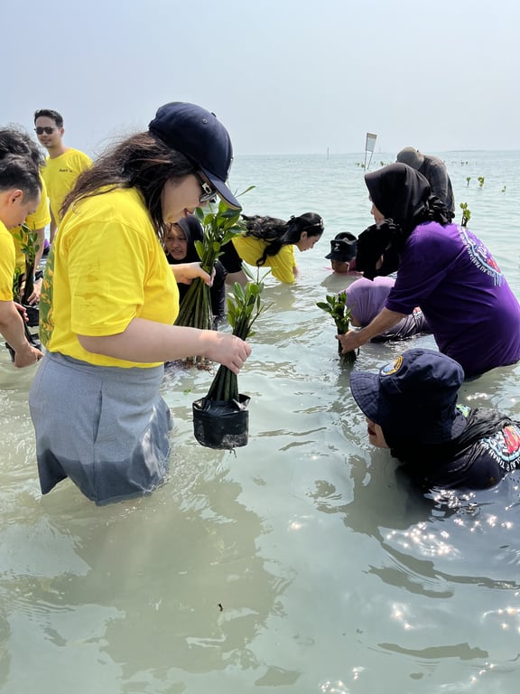 Penanaman mangrove AsetKu bersama LindungiHutan di Pulau Pari.