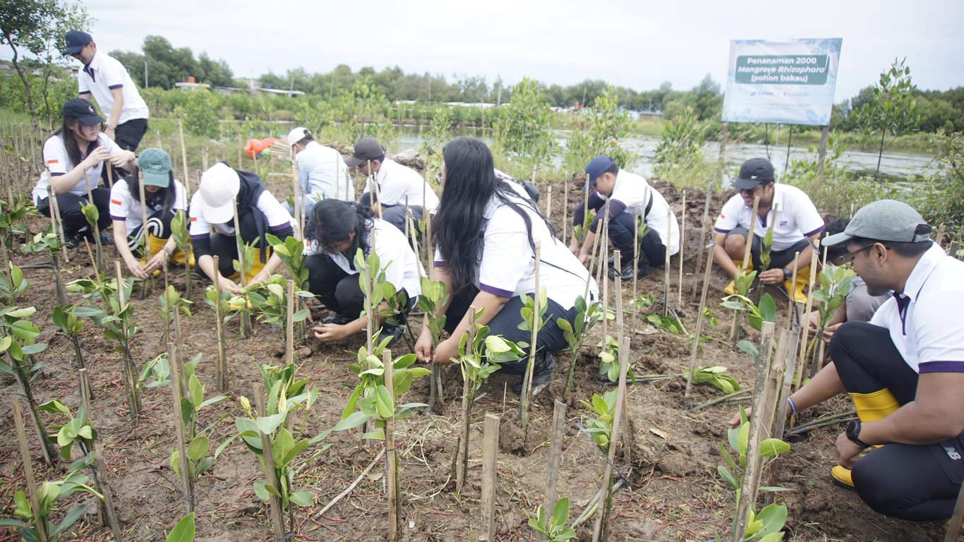 Penanaman mangrove oleh Waruna Group di Desa Sukawali.