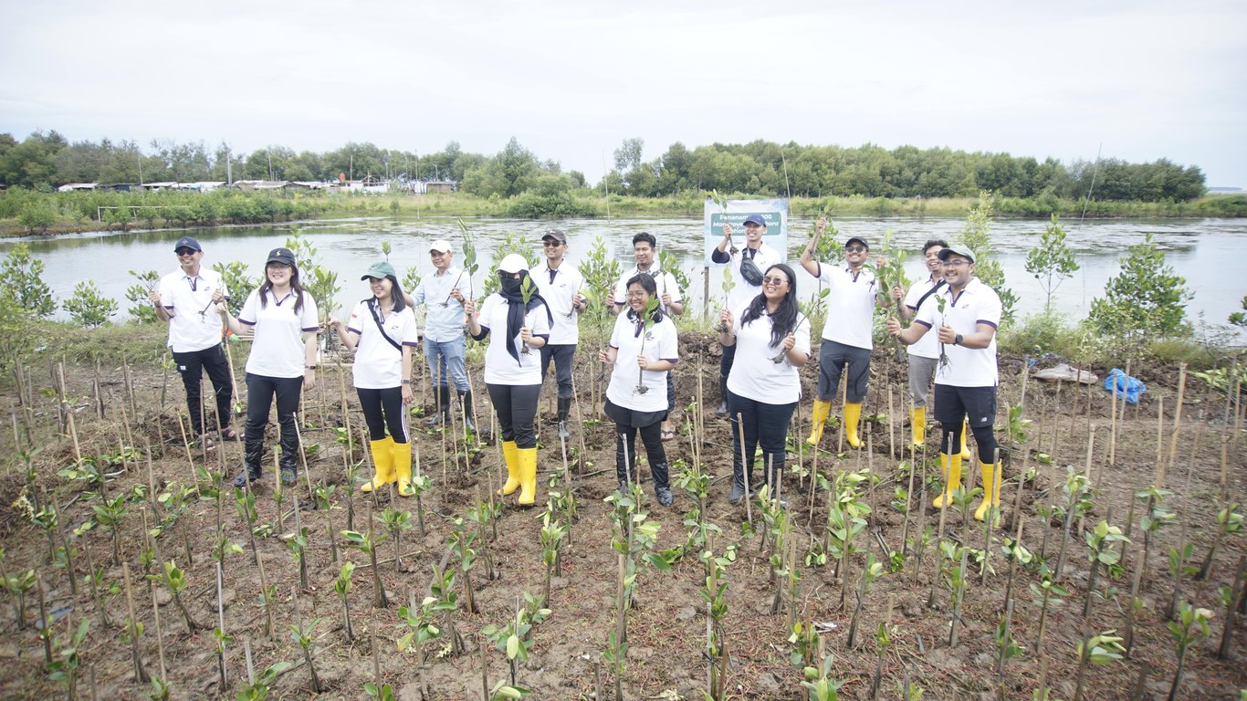 Penanaman mangrove oleh Waruna Group di Desa Sukawali.